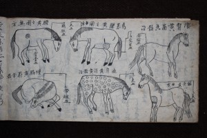 馬往書_3